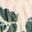 Ecru / Green