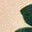 Ecru / Green